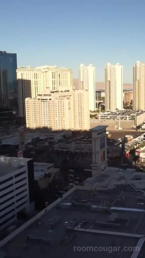 Park Mgm Two Queen (#25309) view picture #9