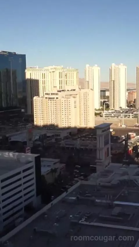 Park Mgm Two Queen (#25309) view picture #11