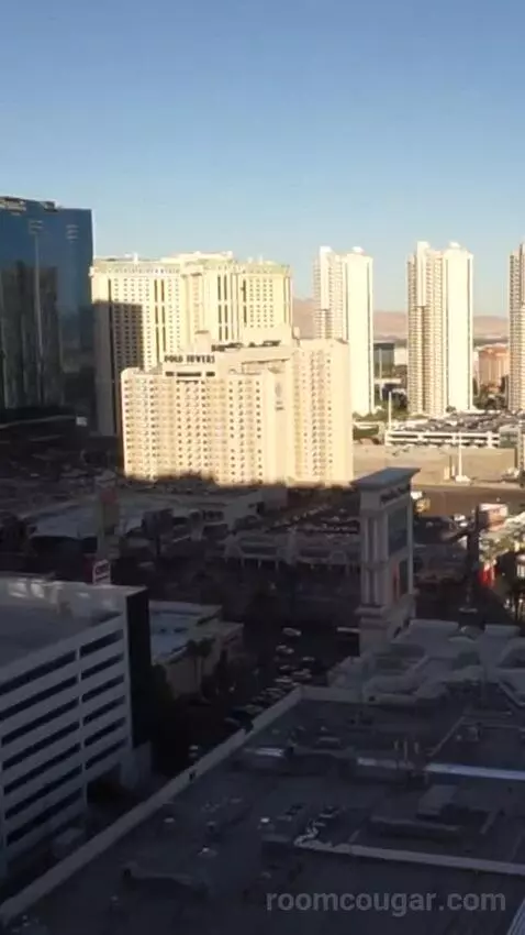 Park Mgm Two Queen (#25309) view picture #12