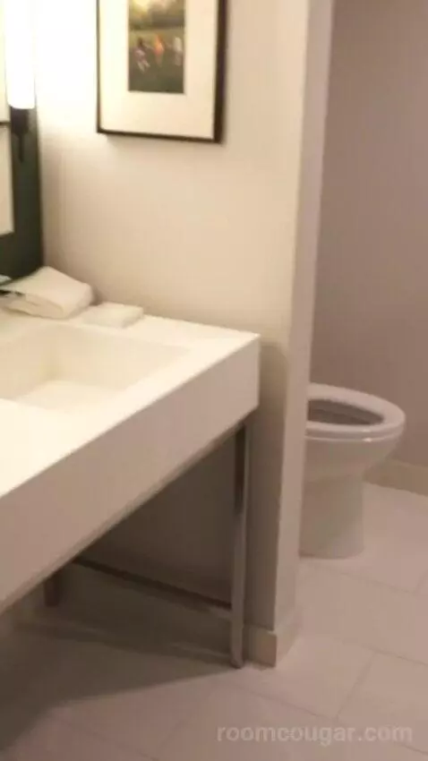 Park Mgm Two Queen (#25309) bathroom picture #4
