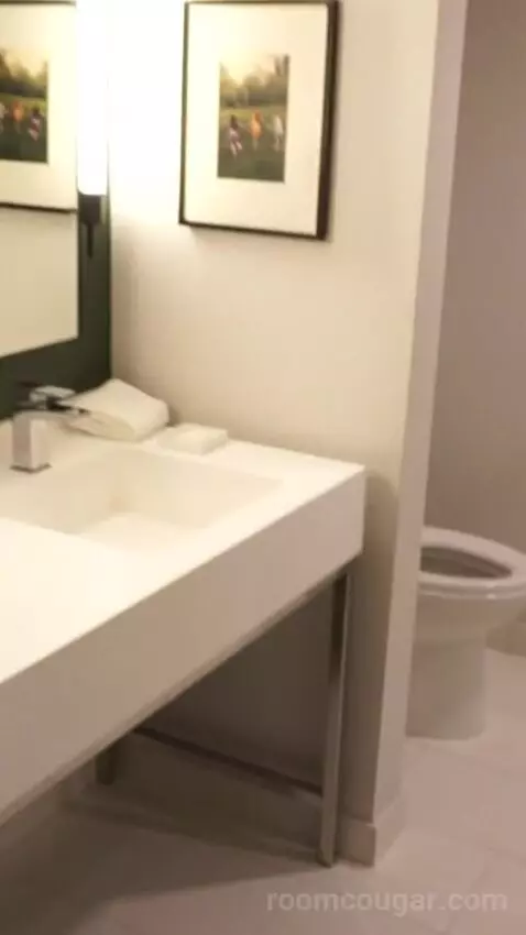 Park Mgm Two Queen (#25309) picture #4