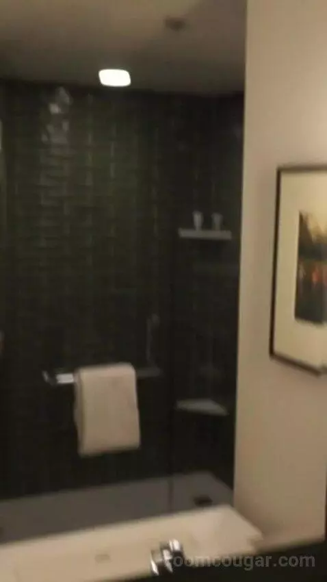 Park Mgm Two Queen (#25309) picture #5