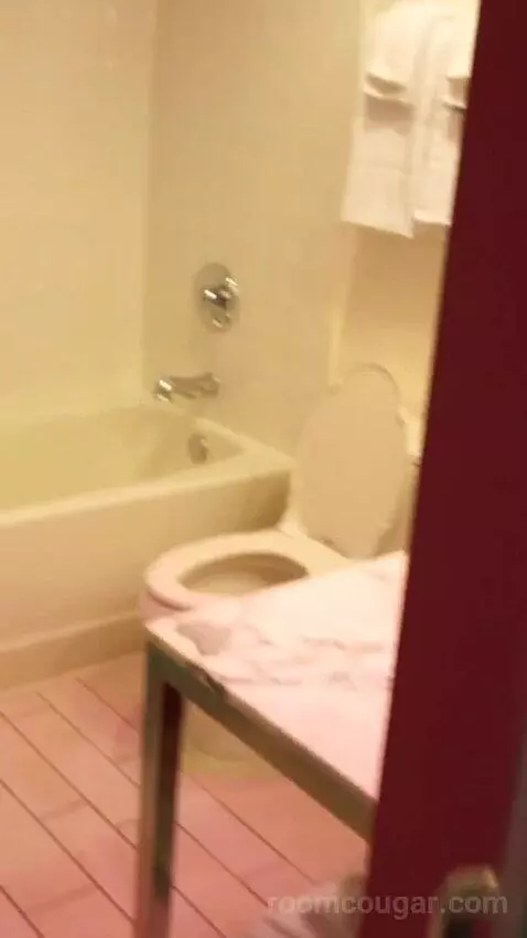 Go Room, 2 Queens, High Roller View (#21053) bathroom picture #6