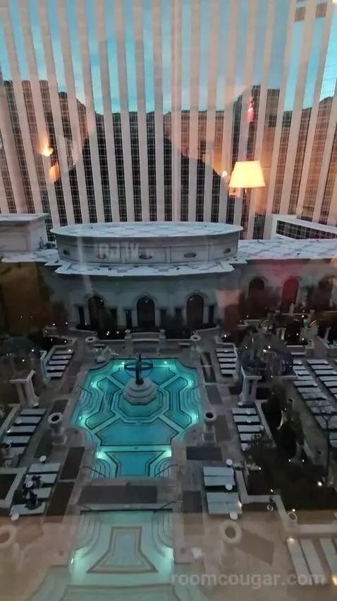 Venetian Newly Remodeled Luxury King Suite (#16525) view picture #4