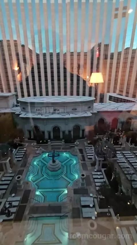 Venetian Newly Remodeled Luxury King Suite (#16525) view picture #6