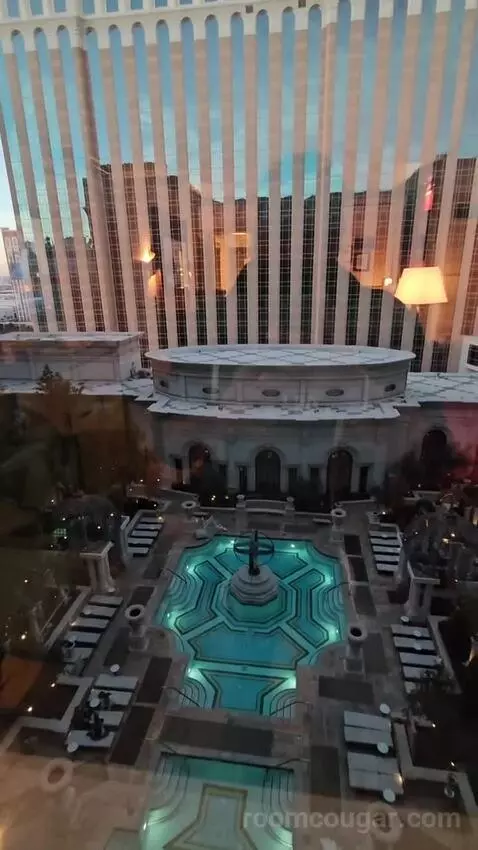 Venetian Newly Remodeled Luxury King Suite (#16525) view picture #12