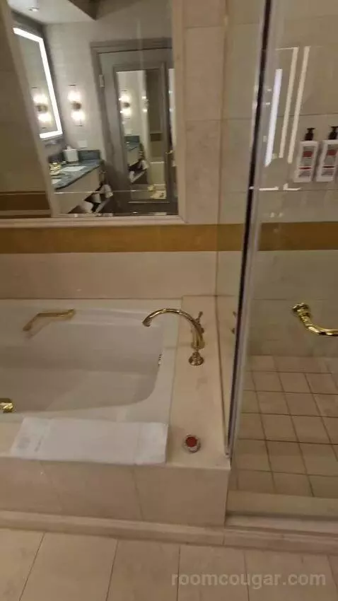Venetian Newly Remodeled Luxury King Suite (#16525) bathroom picture #6