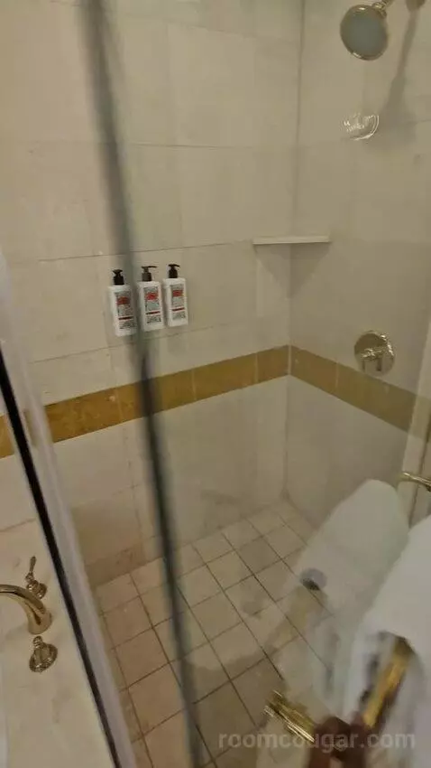 Venetian Newly Remodeled Luxury King Suite (#16525) bathroom picture #11