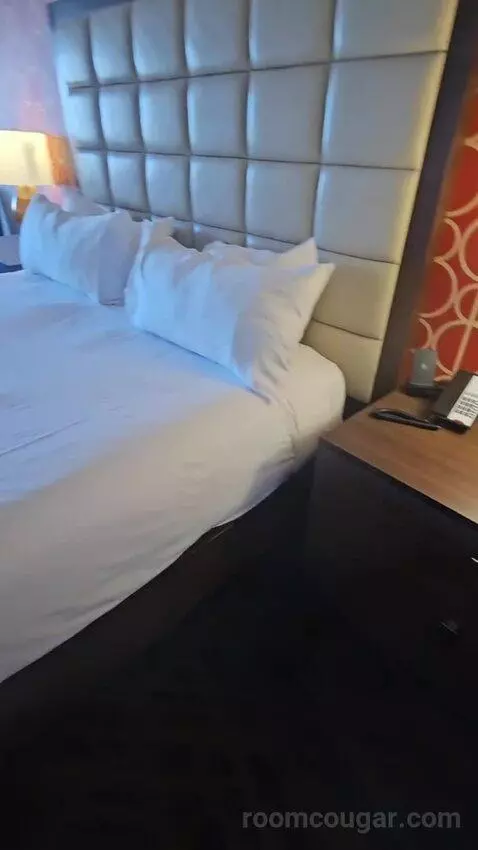 Resort Room King High Roller View (#2421) bed picture #7