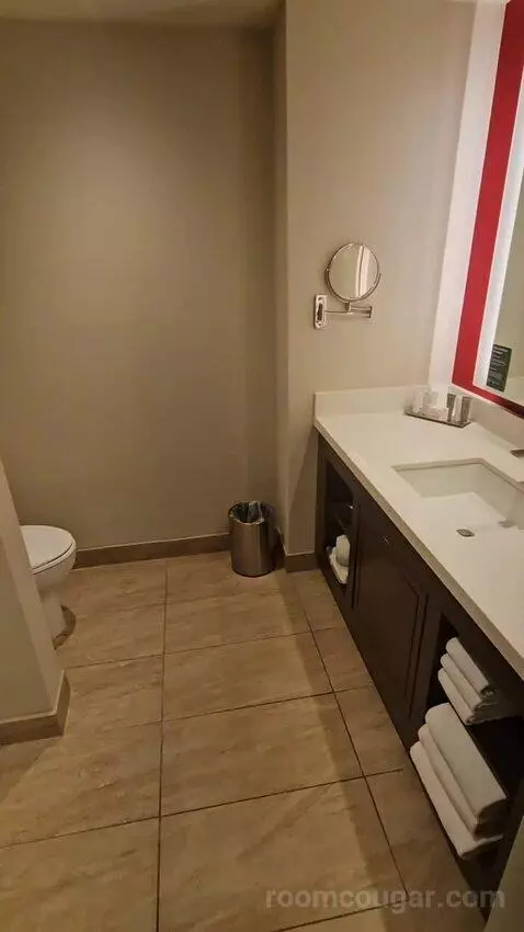 Resort Room, 2 Queens (#2438) bathroom picture #2