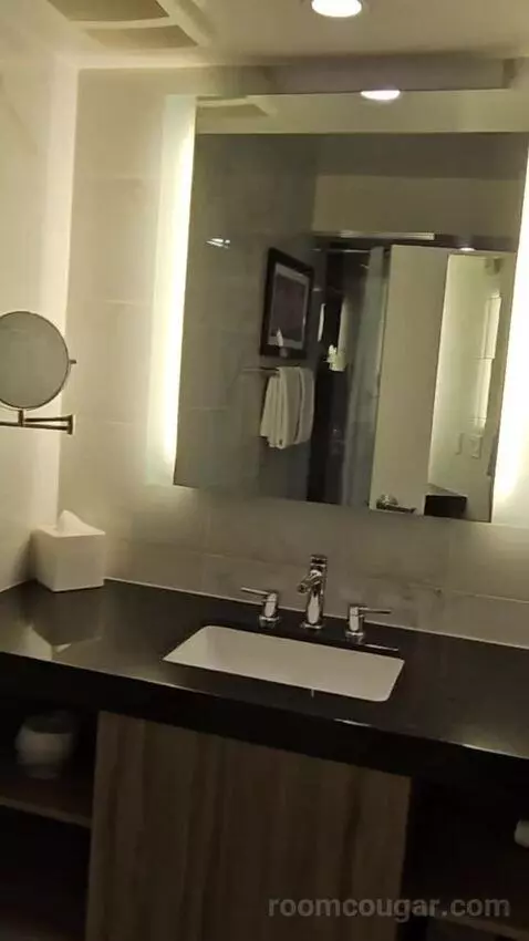 King Junior Suite (#14008) bathroom picture #5