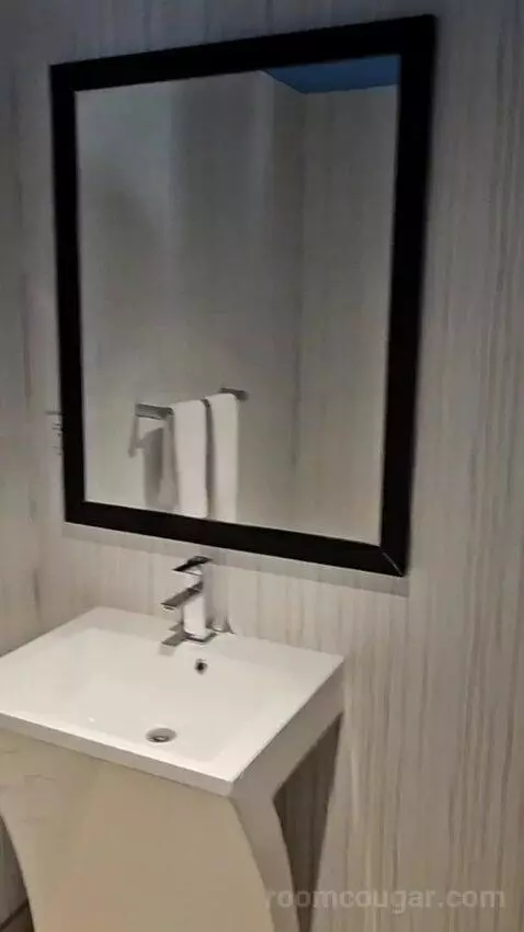 King Junior Suite (#14008) bathroom picture #2