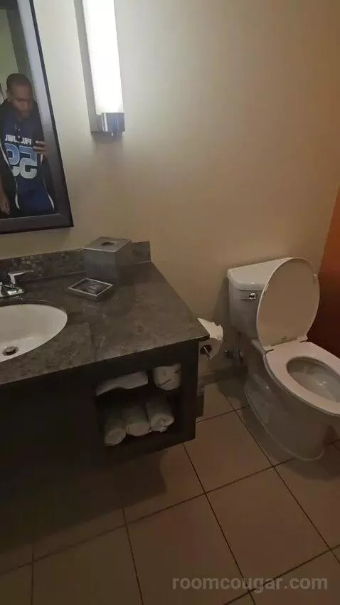 Standard King (#1031) bathroom picture #3