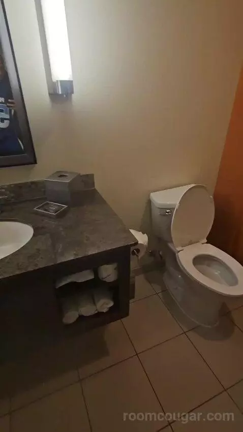 Standard King (#1031) bathroom picture #4