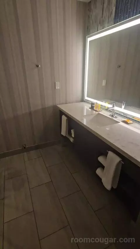 High Rise Deluxe Room, 1 King (#965) bathroom picture #1