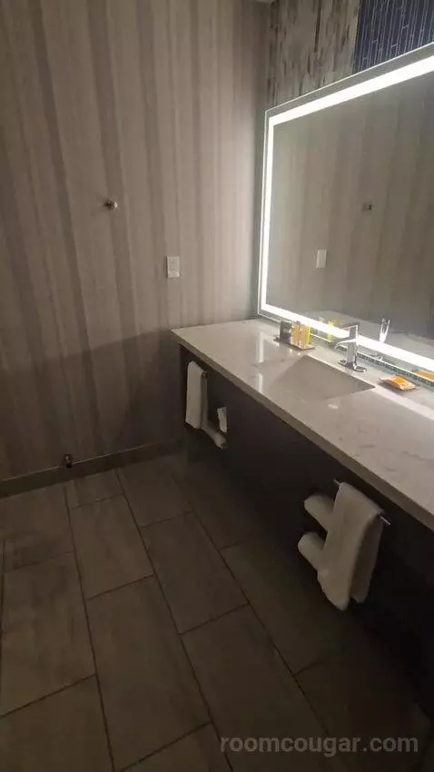 High Rise Deluxe Room, 1 King (#965) bathroom picture #2