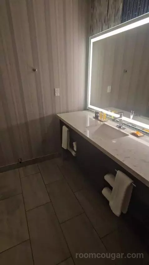 High Rise Deluxe Room, 1 King (#965) bathroom picture #3