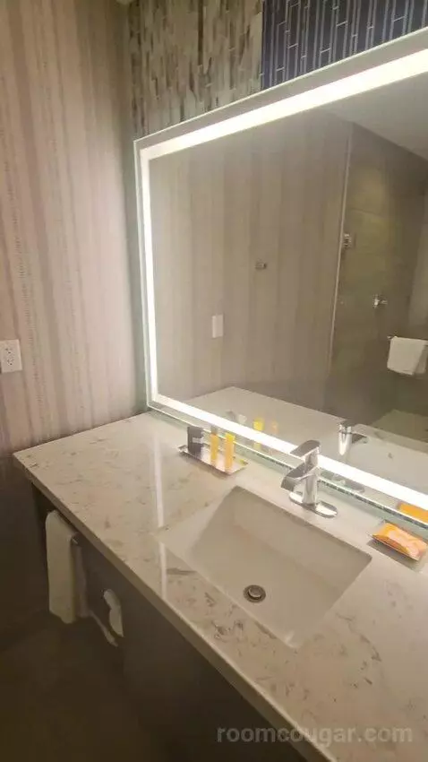 High Rise Deluxe Room, 1 King (#965) bathroom picture #4
