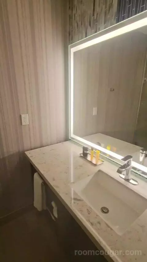 High Rise Deluxe Room, 1 King (#965) bathroom picture #6