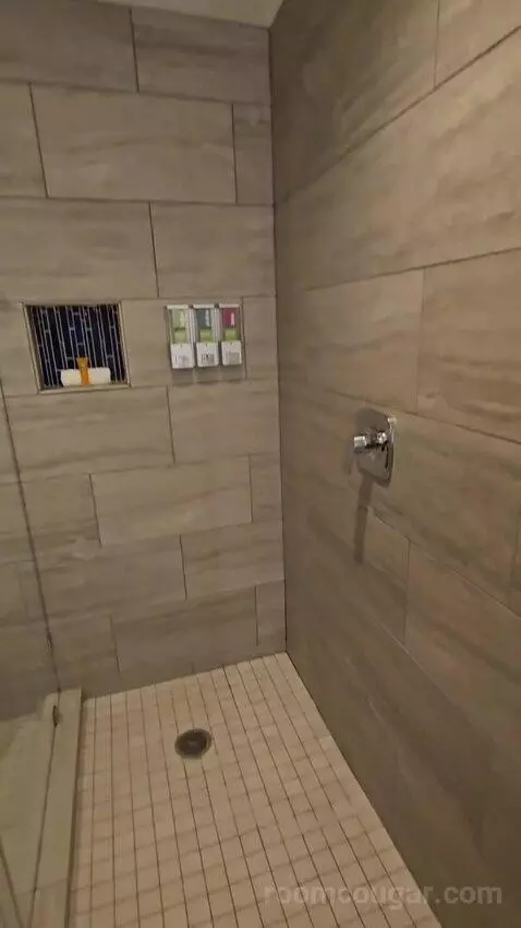 High Rise Deluxe Room, 1 King (#965) bathroom picture #9