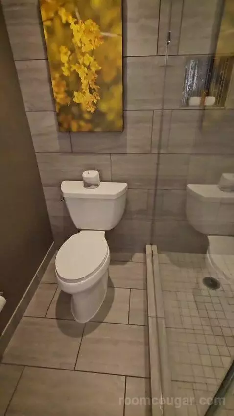 High Rise Deluxe Room, 1 King (#965) bathroom picture #10