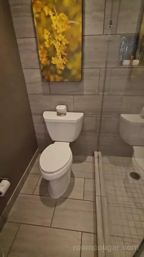 High Rise Deluxe Room, 1 King (#965) bathroom picture #12