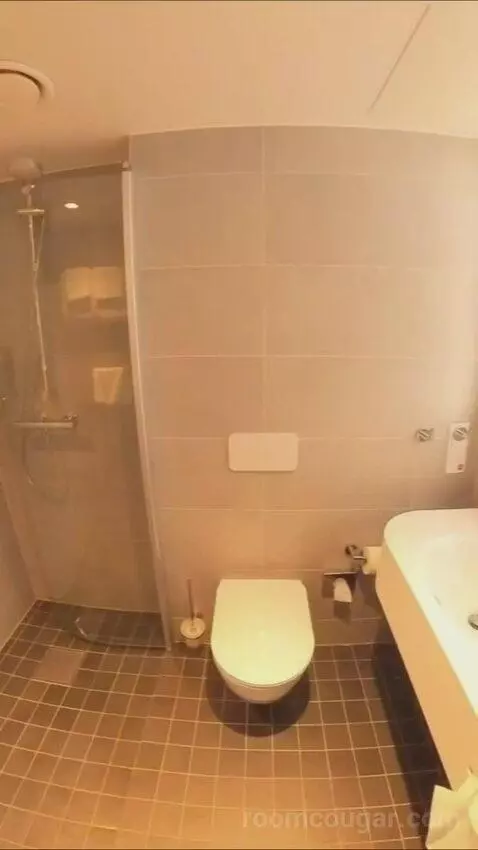 Business Double Room (#359) bathroom picture #3