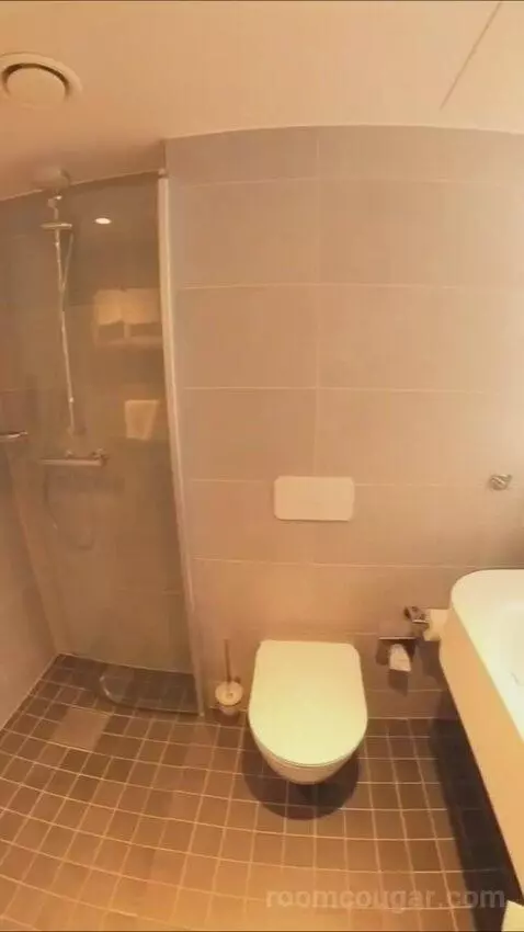 Business Double Room (#359) bathroom picture #4