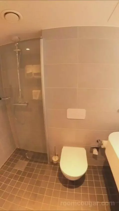 Business Double Room (#359) bathroom picture #5