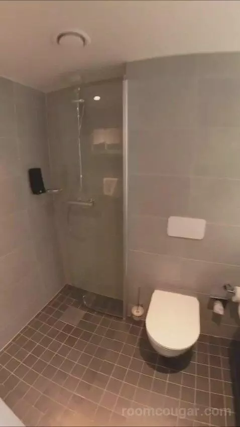 Business Double Room (#359) bathroom picture #8