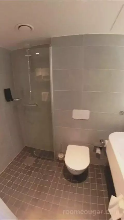 Business Double Room (#359) bathroom picture #9