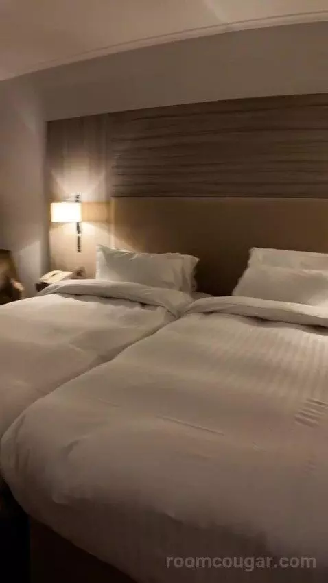 Standard (#563) bed picture #3