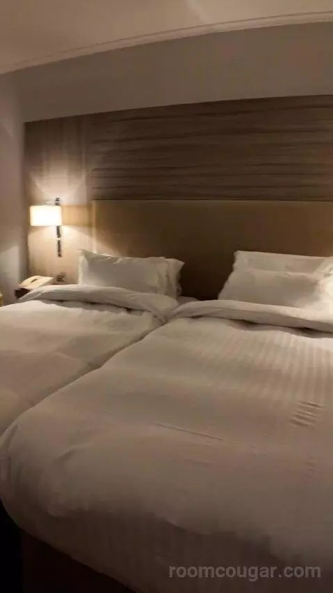 Standard (#563) bed picture #4