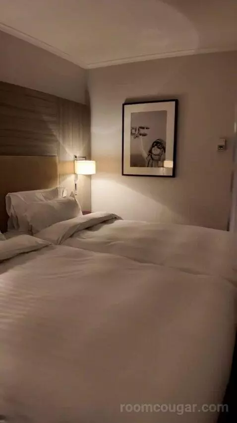 Standard (#563) bed picture #6