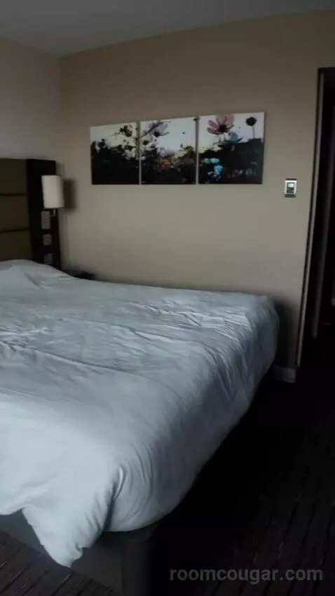 Stabdard (#409) bed picture #5