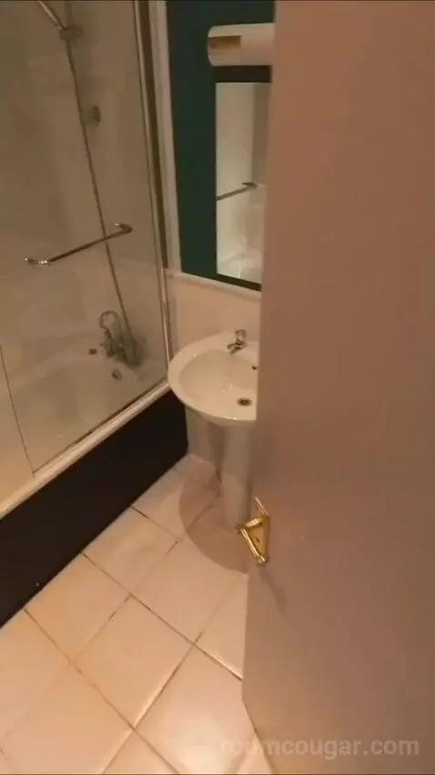 Standard Twin (#6) bathroom picture #1