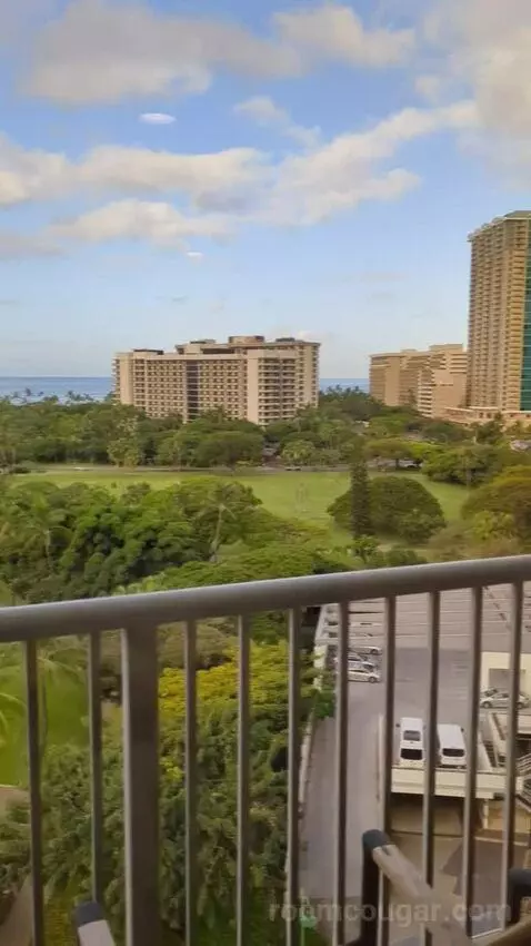 Gold Ocean View King (#1602) view picture #10