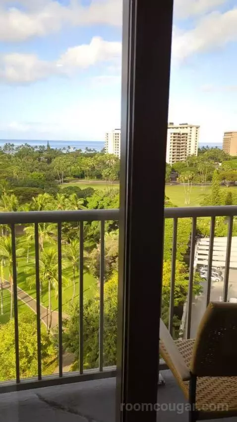Gold Ocean View King (#1602) view picture #1