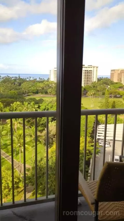 Gold Ocean View King (#1602) view picture #2