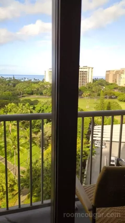 Gold Ocean View King (#1602) view picture #3