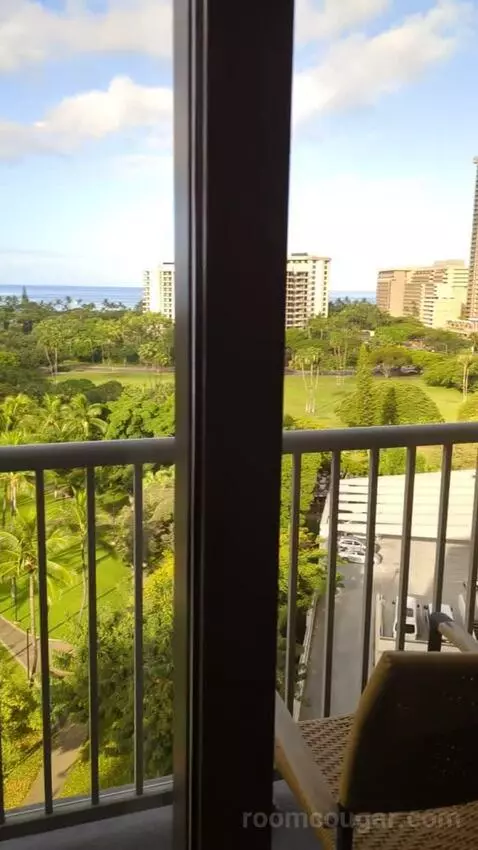 Gold Ocean View King (#1602) view picture #4