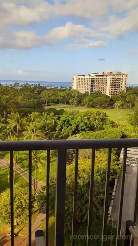 Gold Ocean View King (#1602) view picture #5
