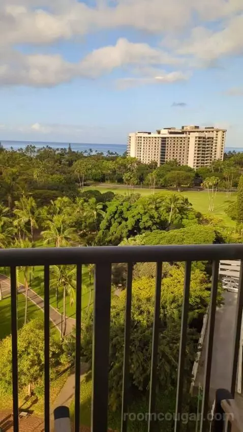 Gold Ocean View King (#1602) view picture #6