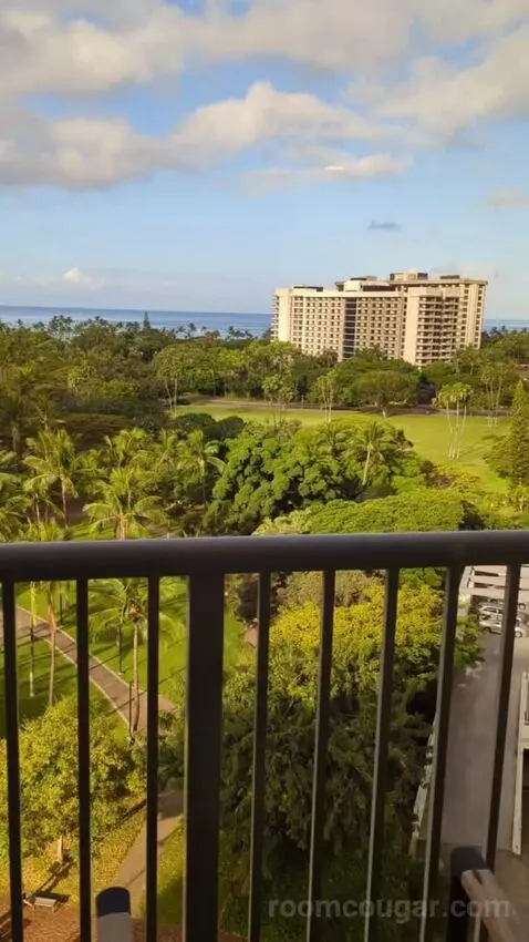 Gold Ocean View King (#1602) view picture #7