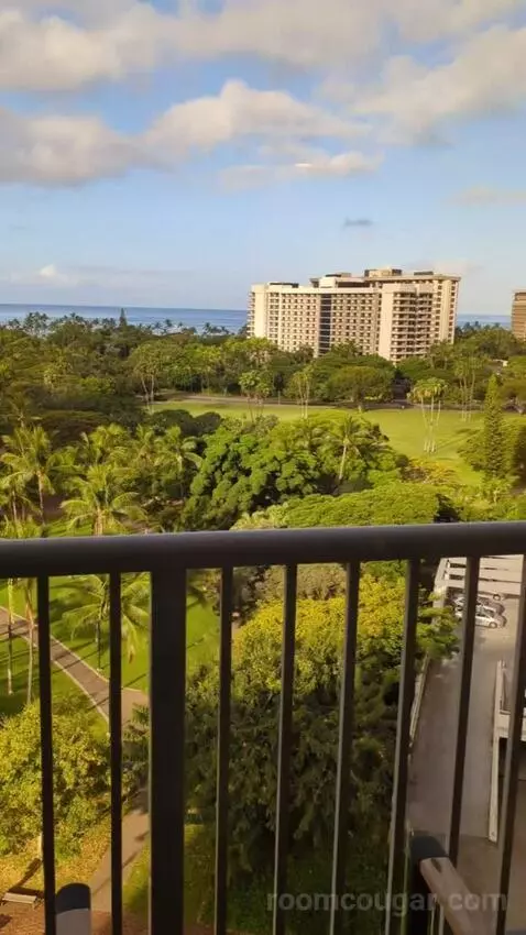 Gold Ocean View King (#1602) view picture #8