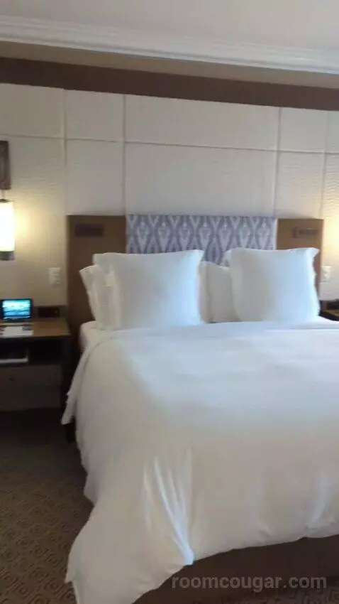 Garden View Room with King Bed (#377) bed picture #2