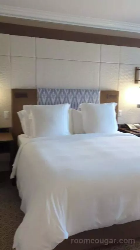 Garden View Room with King Bed (#377) bed picture #3