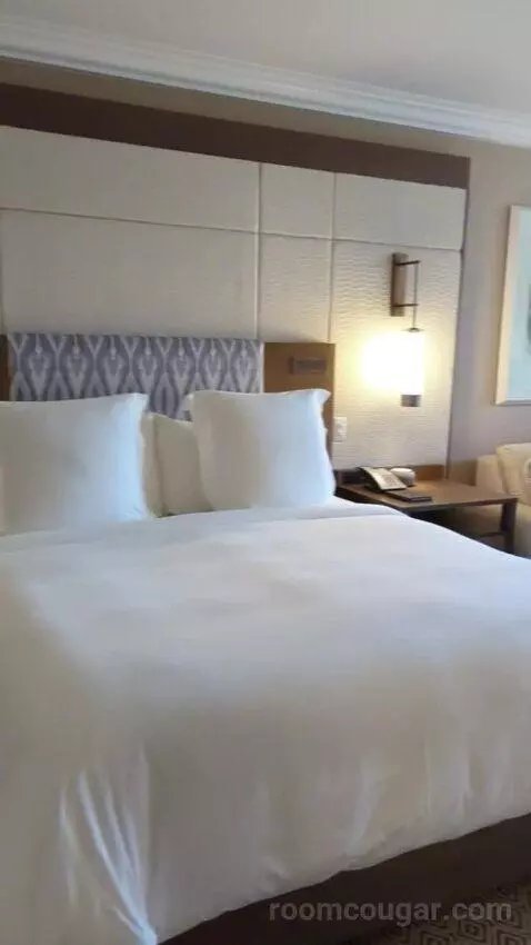 Garden View Room with King Bed (#377) bed picture #5