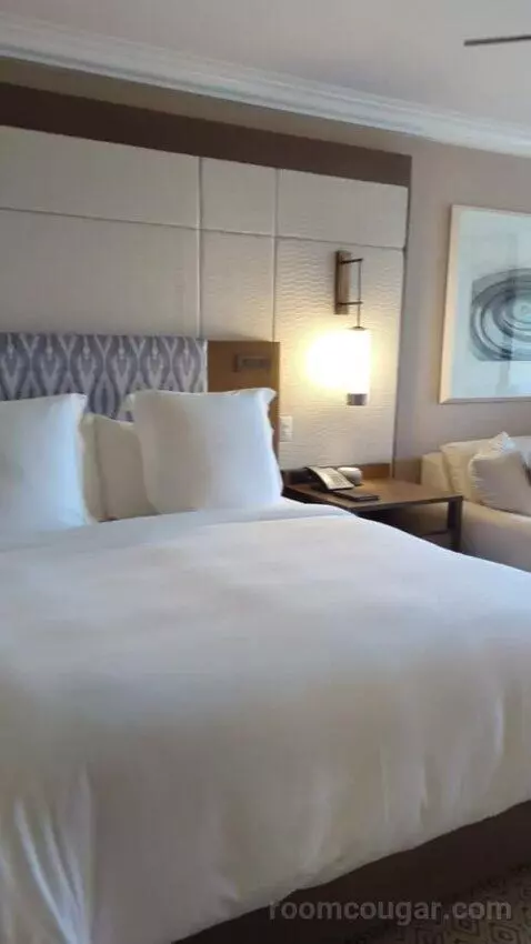 Garden View Room with King Bed (#377) bed picture #6