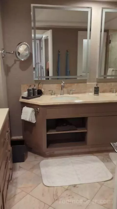 Garden View Room with King Bed (#377) bathroom picture #3